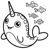 Narwhal